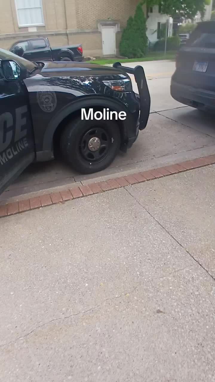 @Moline Watchout