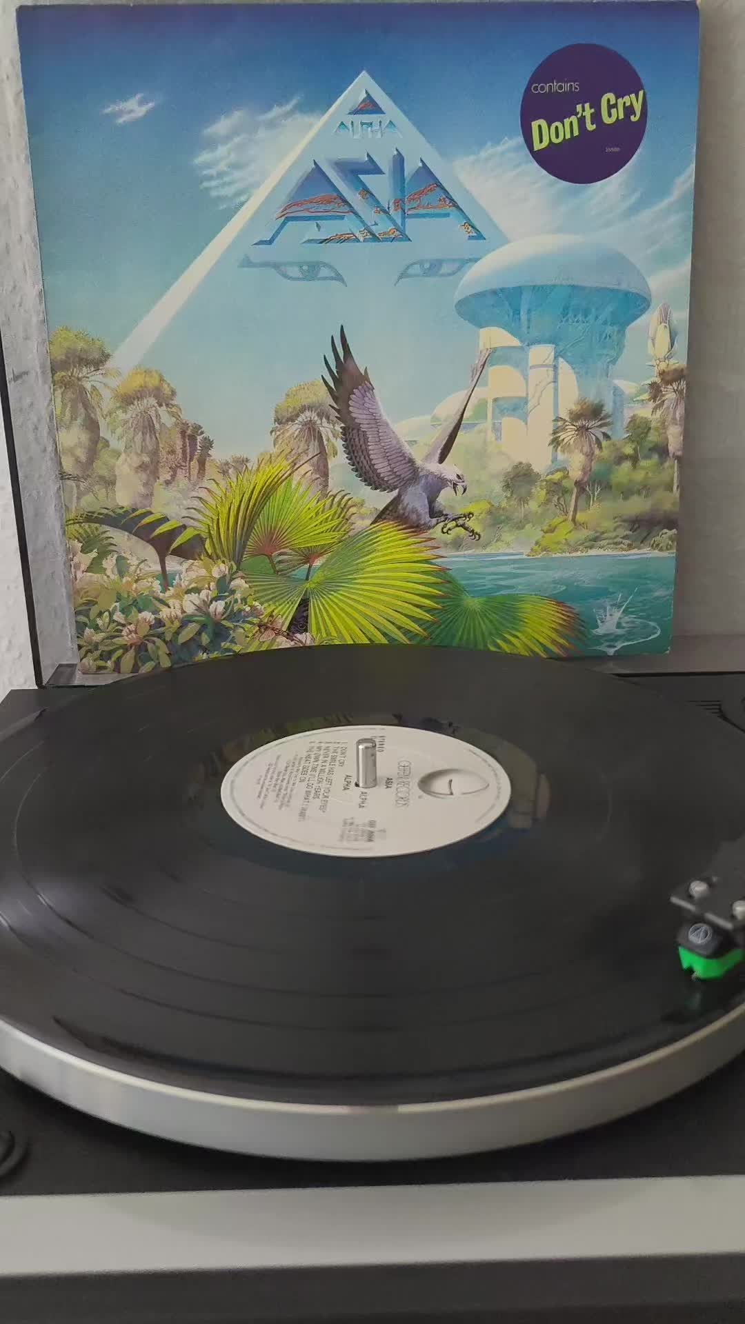 @Forgotten Songs - Vinyl
