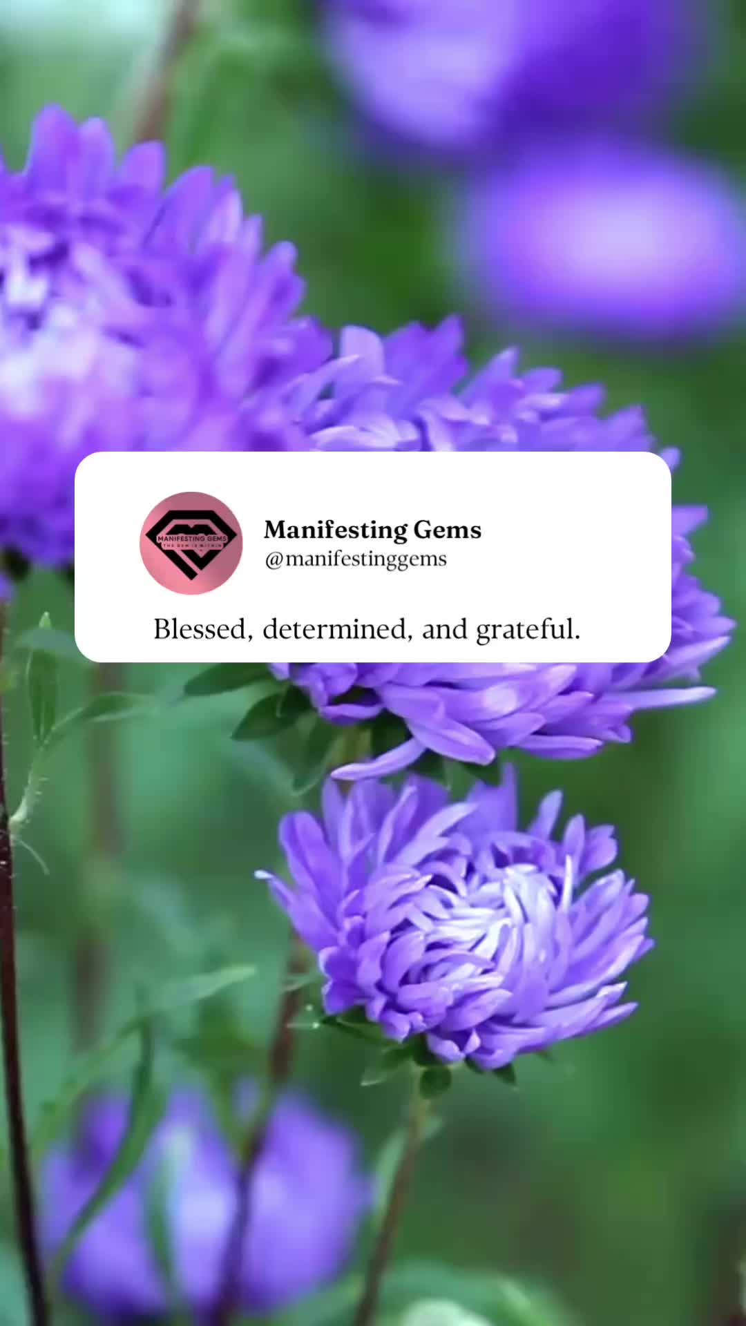 @Manifesting Gems