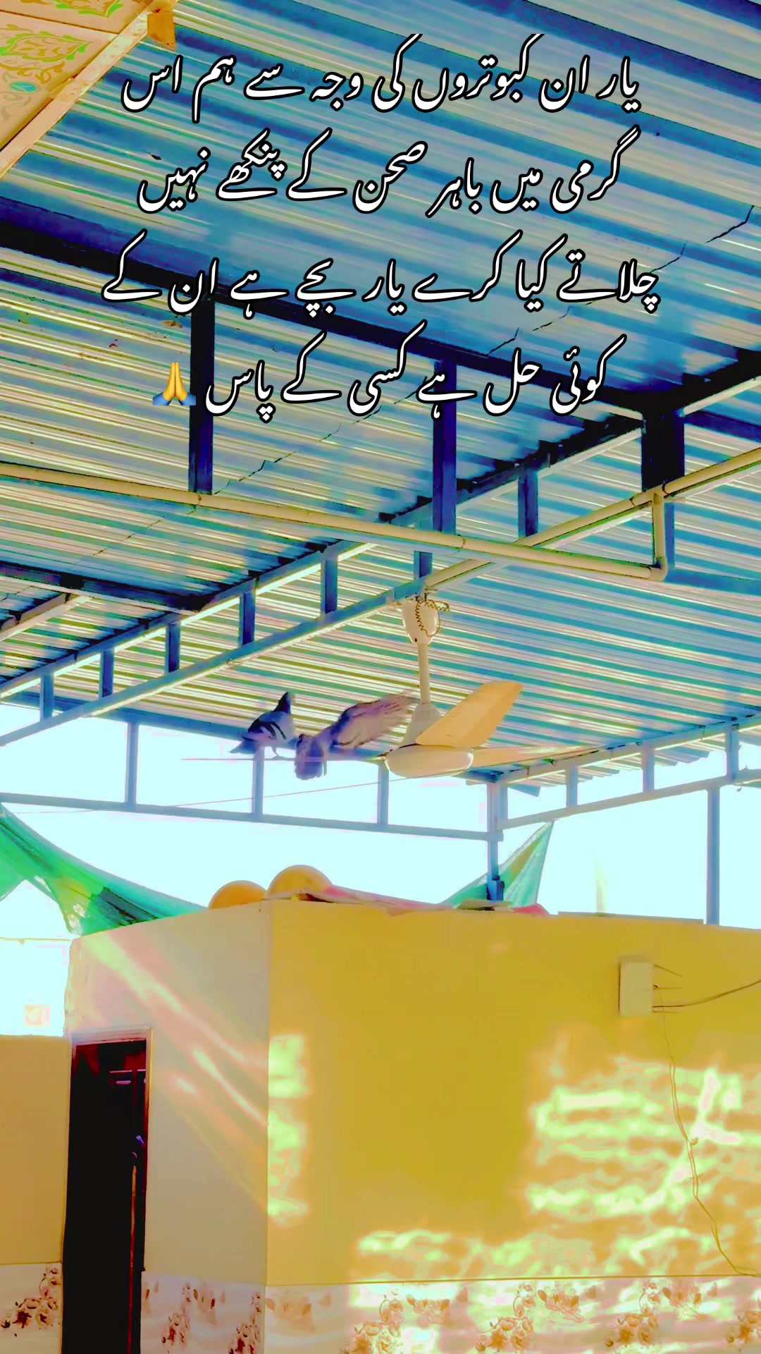 @Dr khan✅🇵🇰