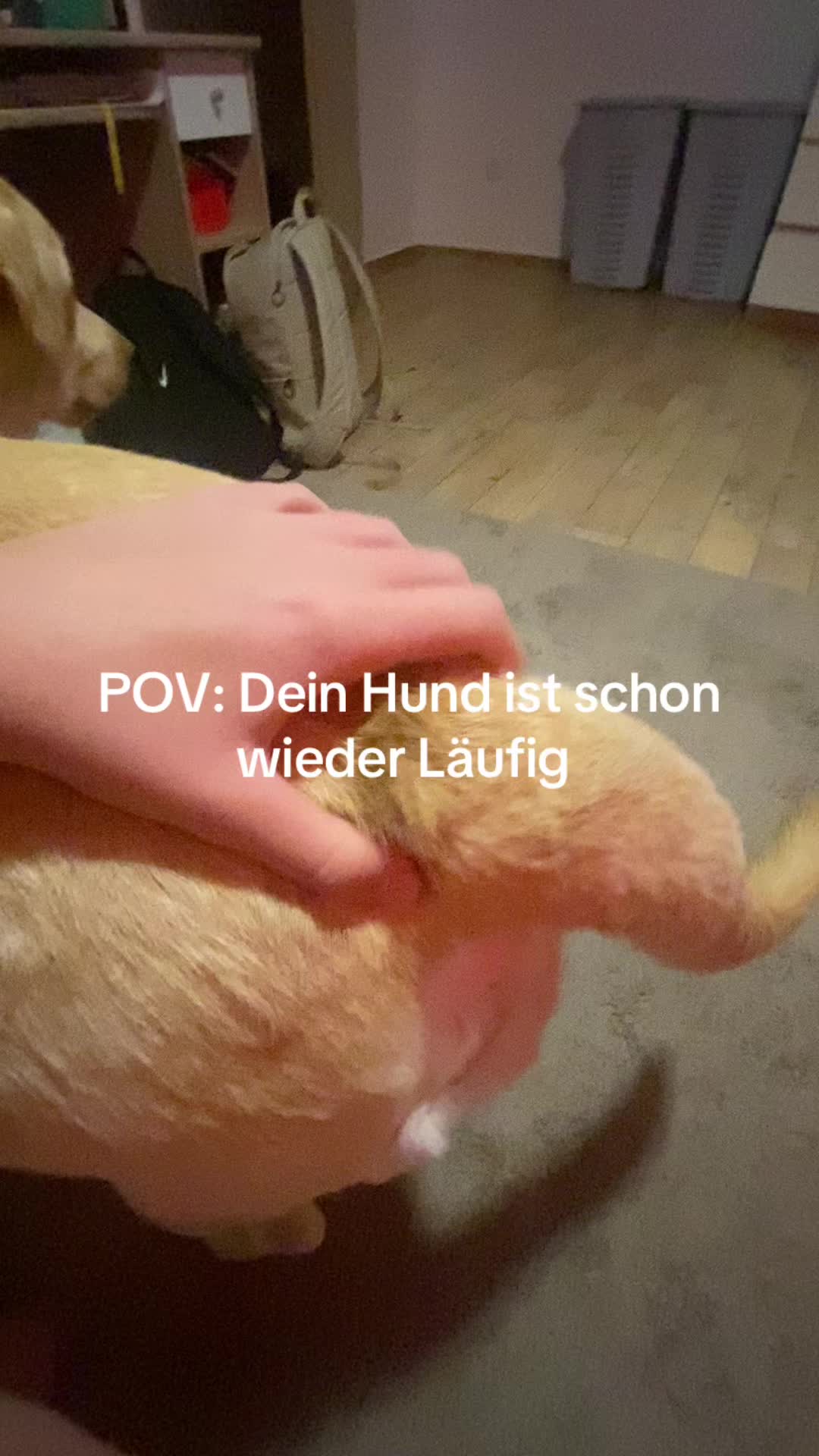 @Maja 🇩🇪💫