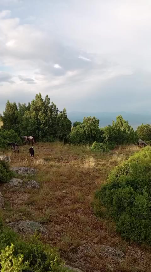 @💜&Ouml;ğretmen Hanım💙