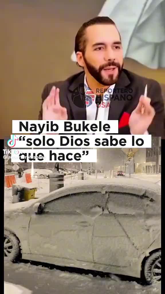 @LA,PANTERITA,De,MEXICO