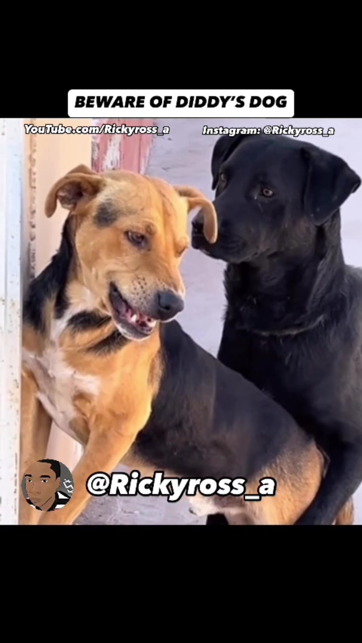 @Rickyross_a
