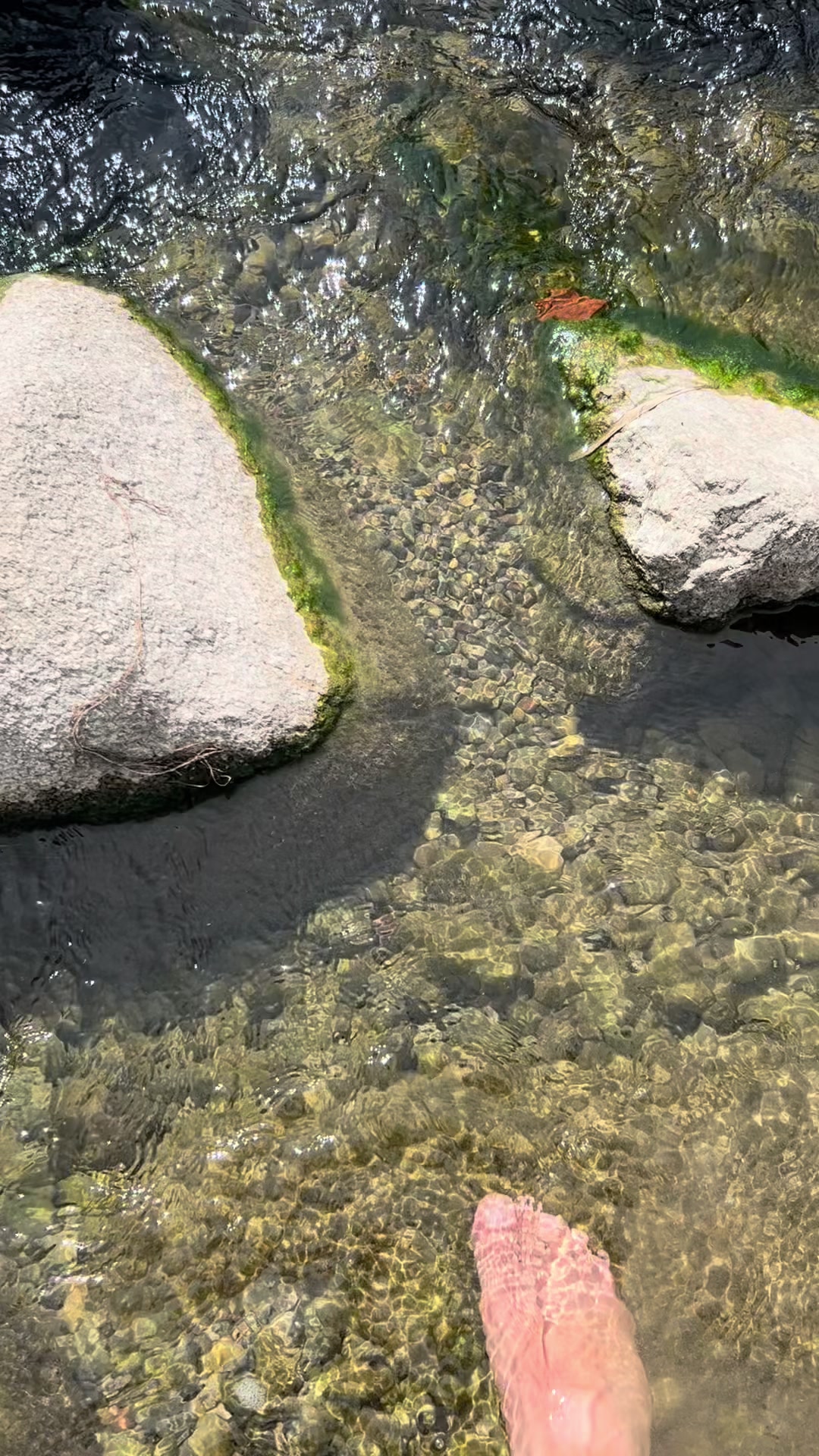 @🇫🇷RishadNoor🧿🌿رشاد نور🇦🇫