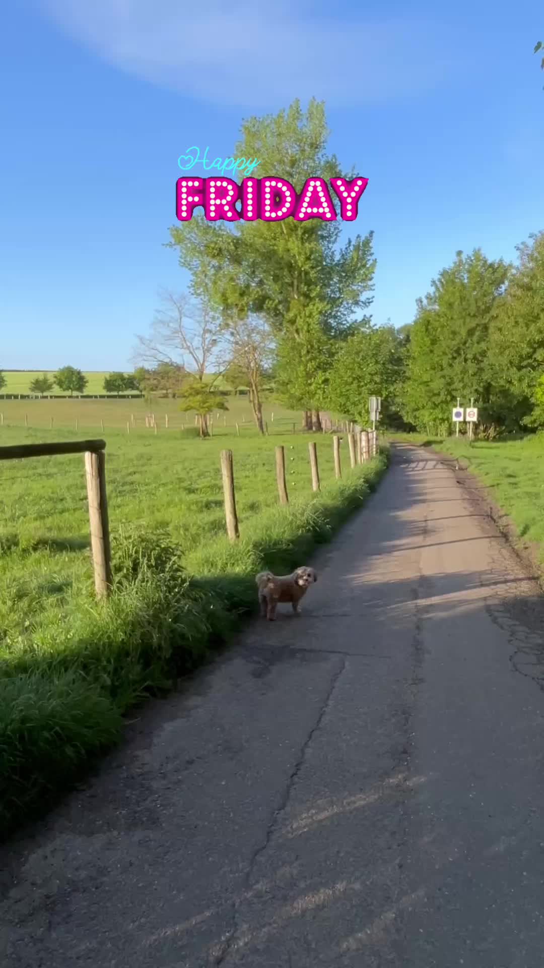 @Peter Franken 🦄