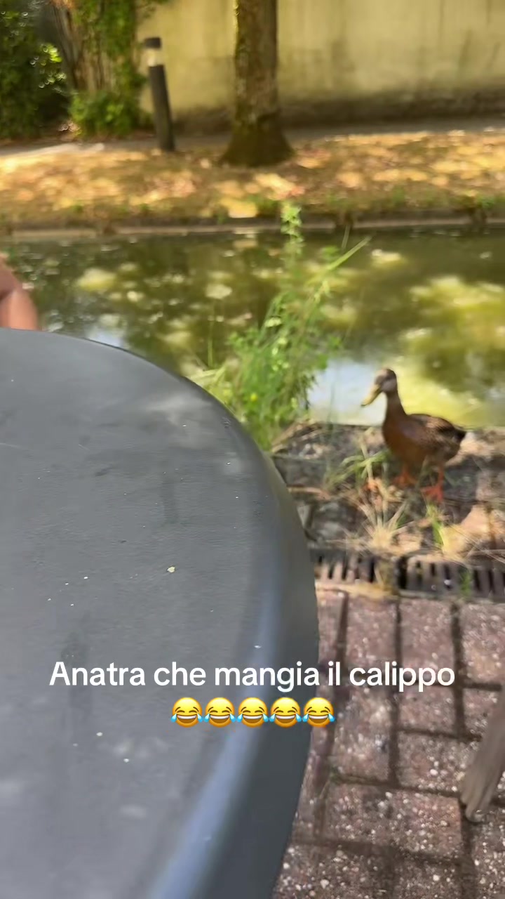 @Nonna di 🌸GRETA🌸🇮🇹🇩🇪