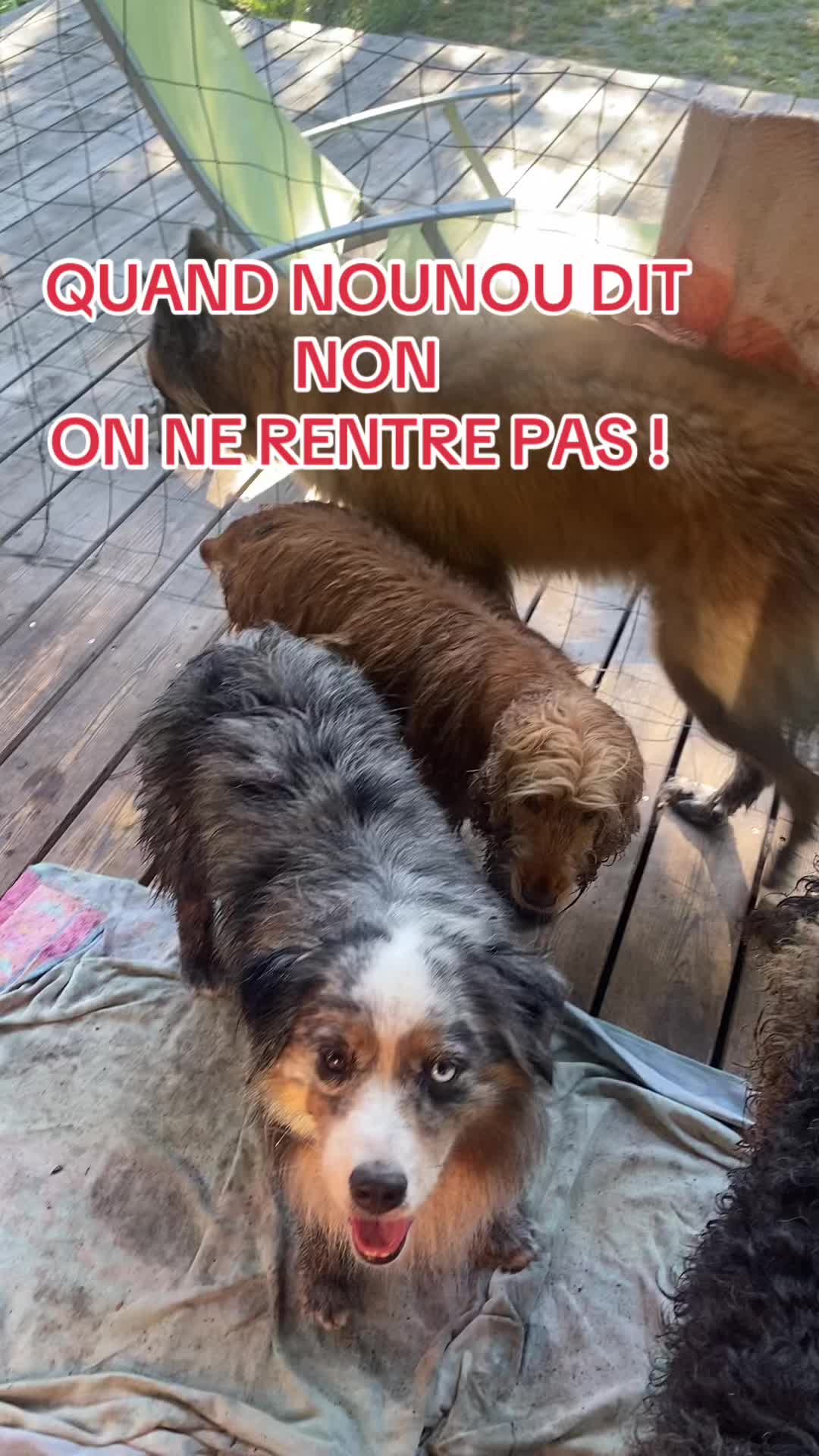 @nathalie..maurice