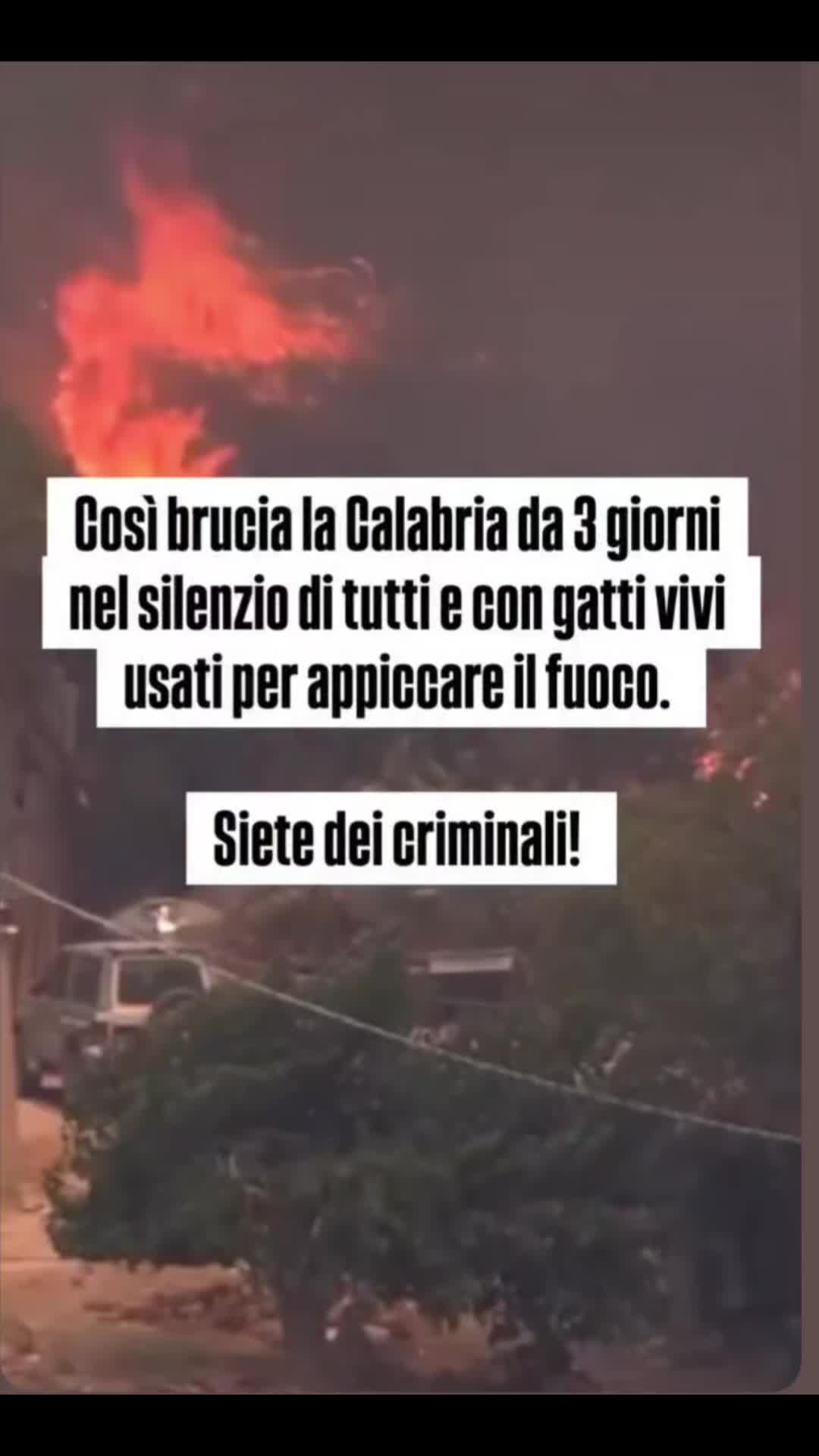 @Eleonora