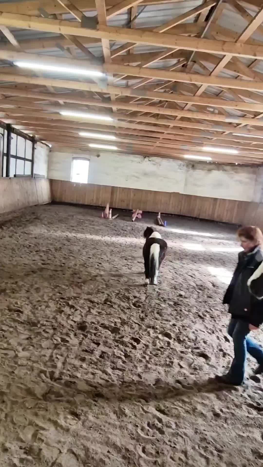 @simonenoack715