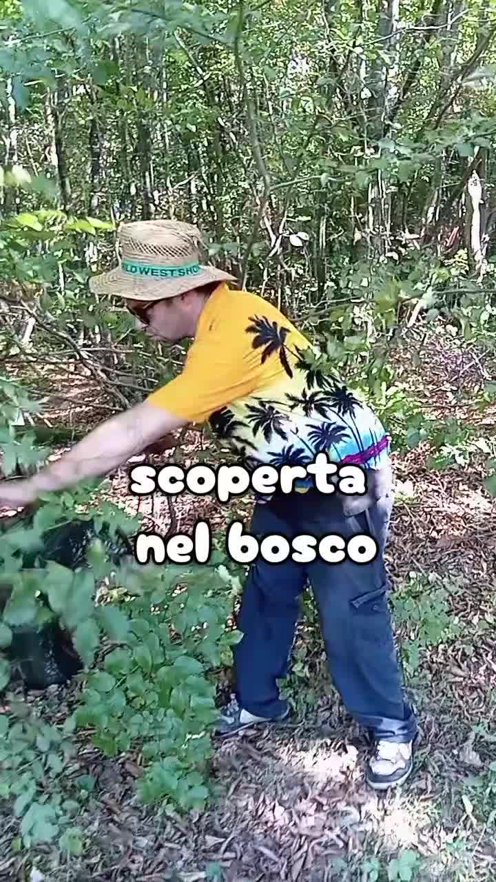 @Il giardiniere felice
