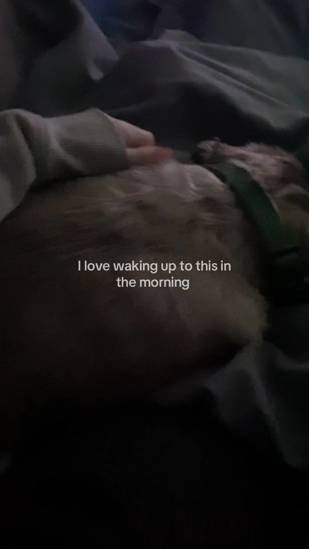 @kyla_spams