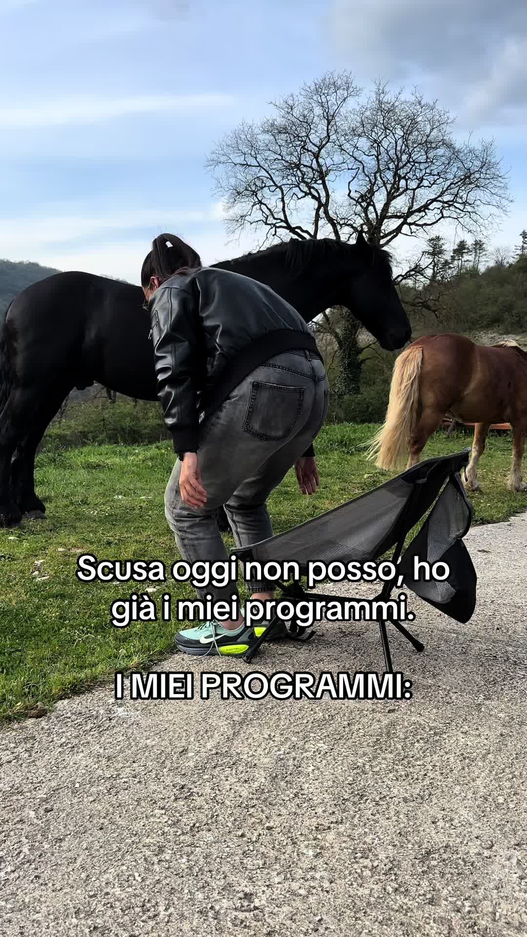 @black_the_friesian