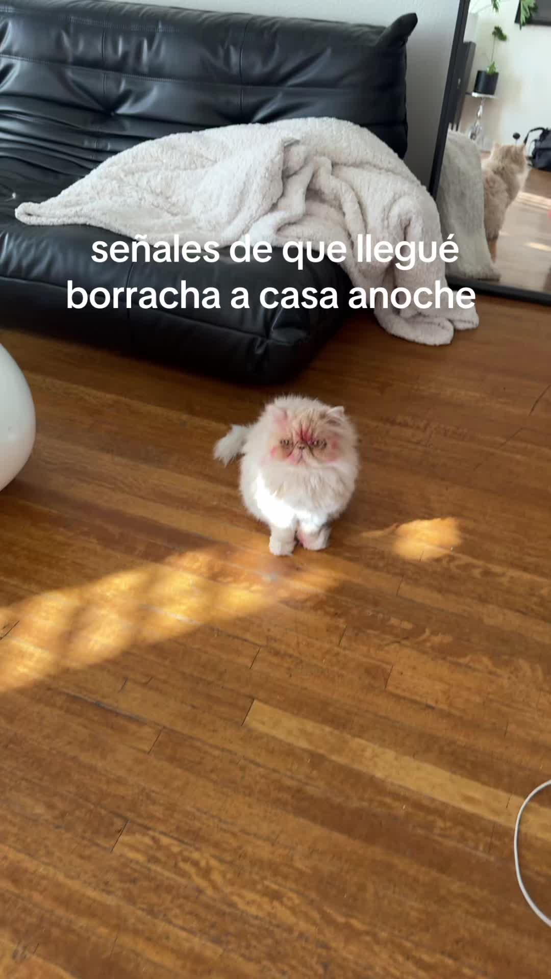 @irlanda