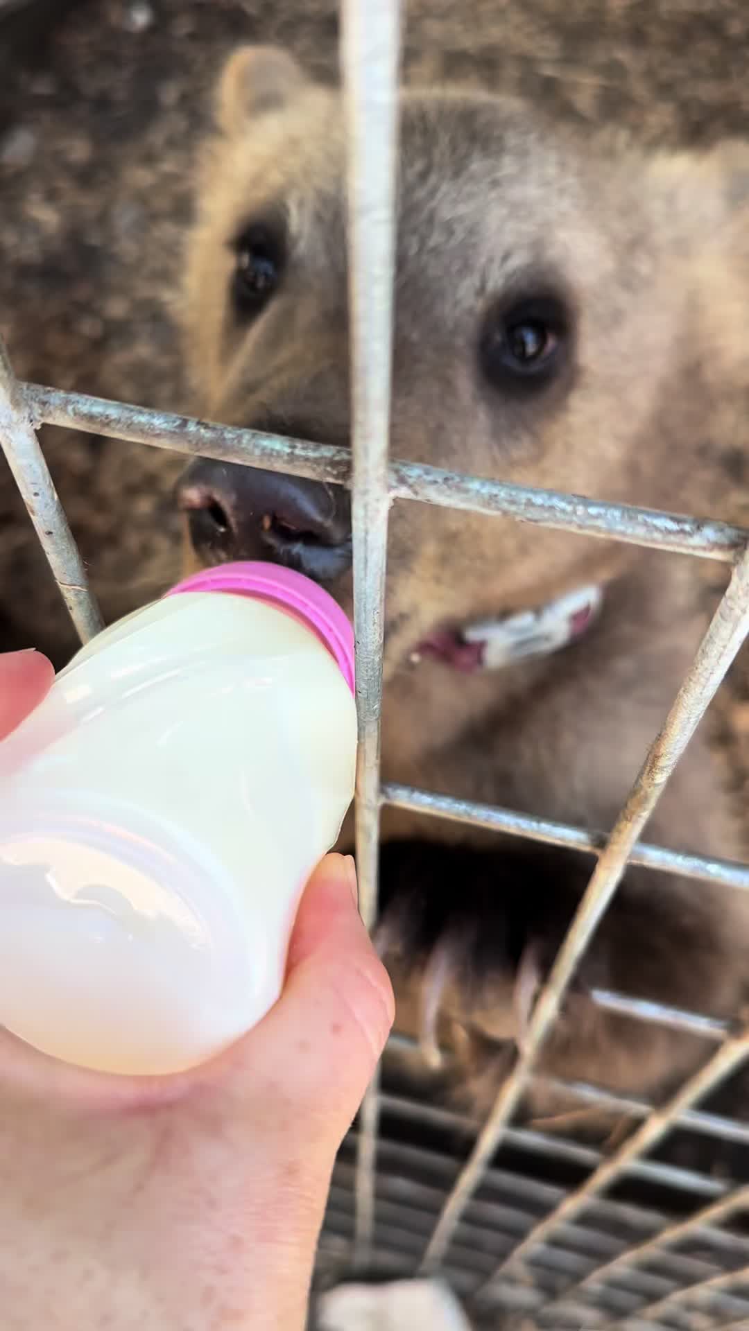 @Texas Wildlife Park