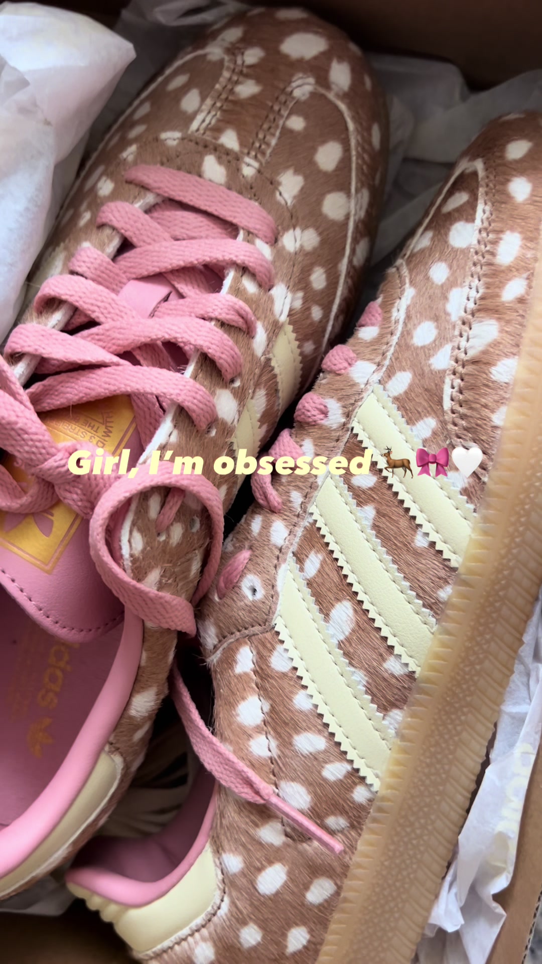 @emylectures