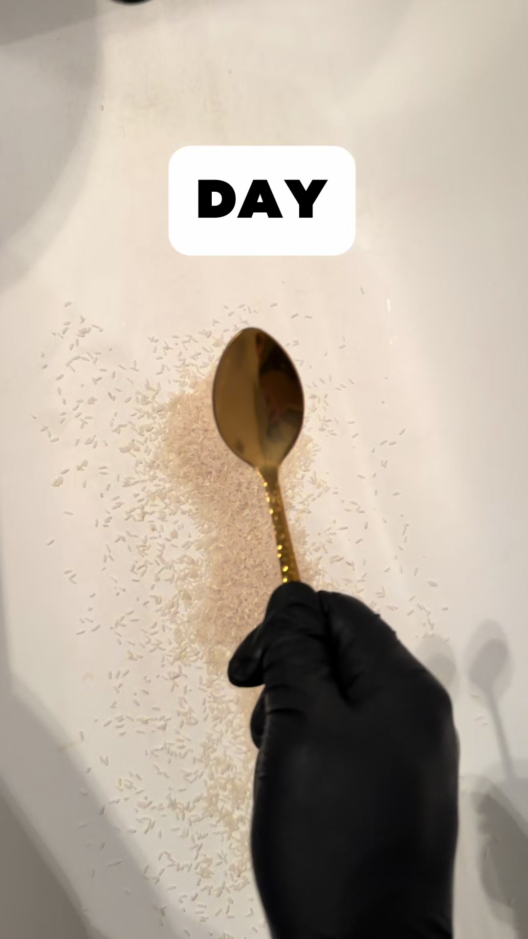 @Spoontobunker
