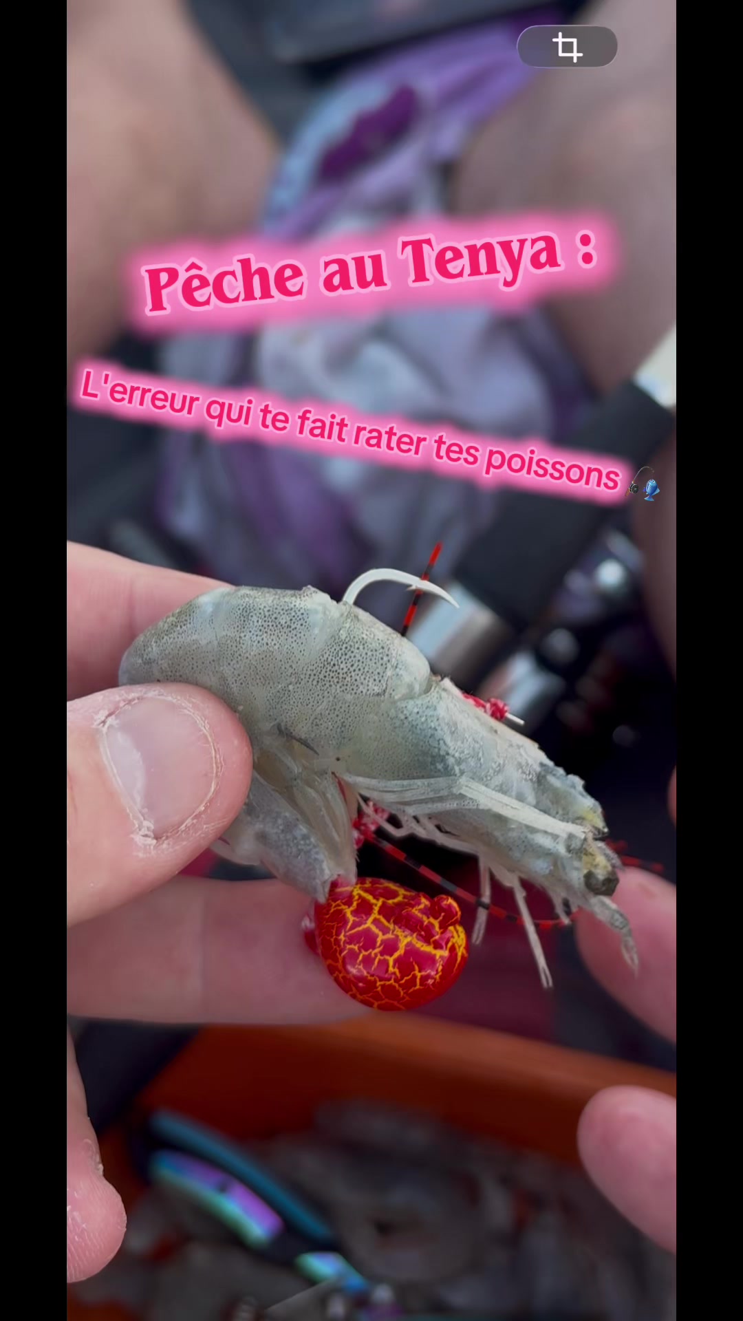 @Accro’Pêch 66
