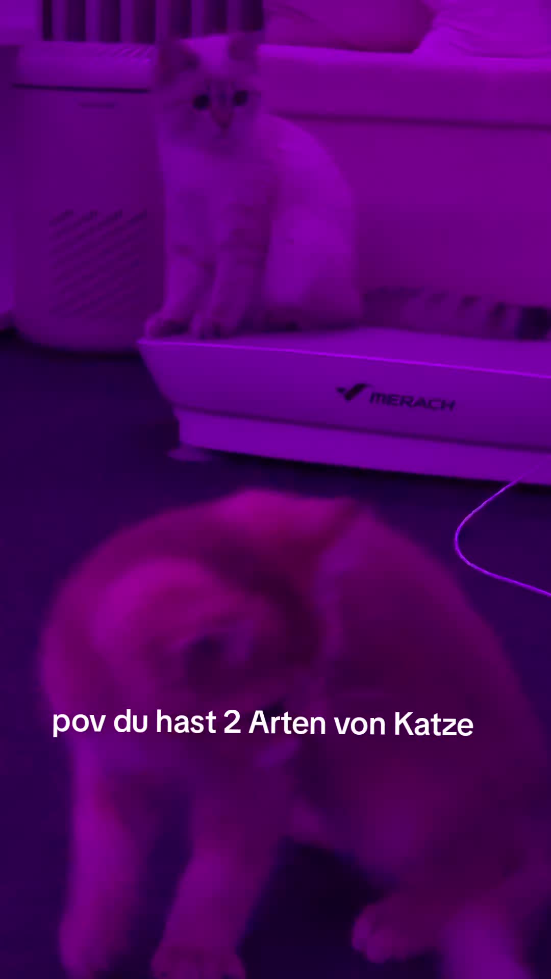 @😽
