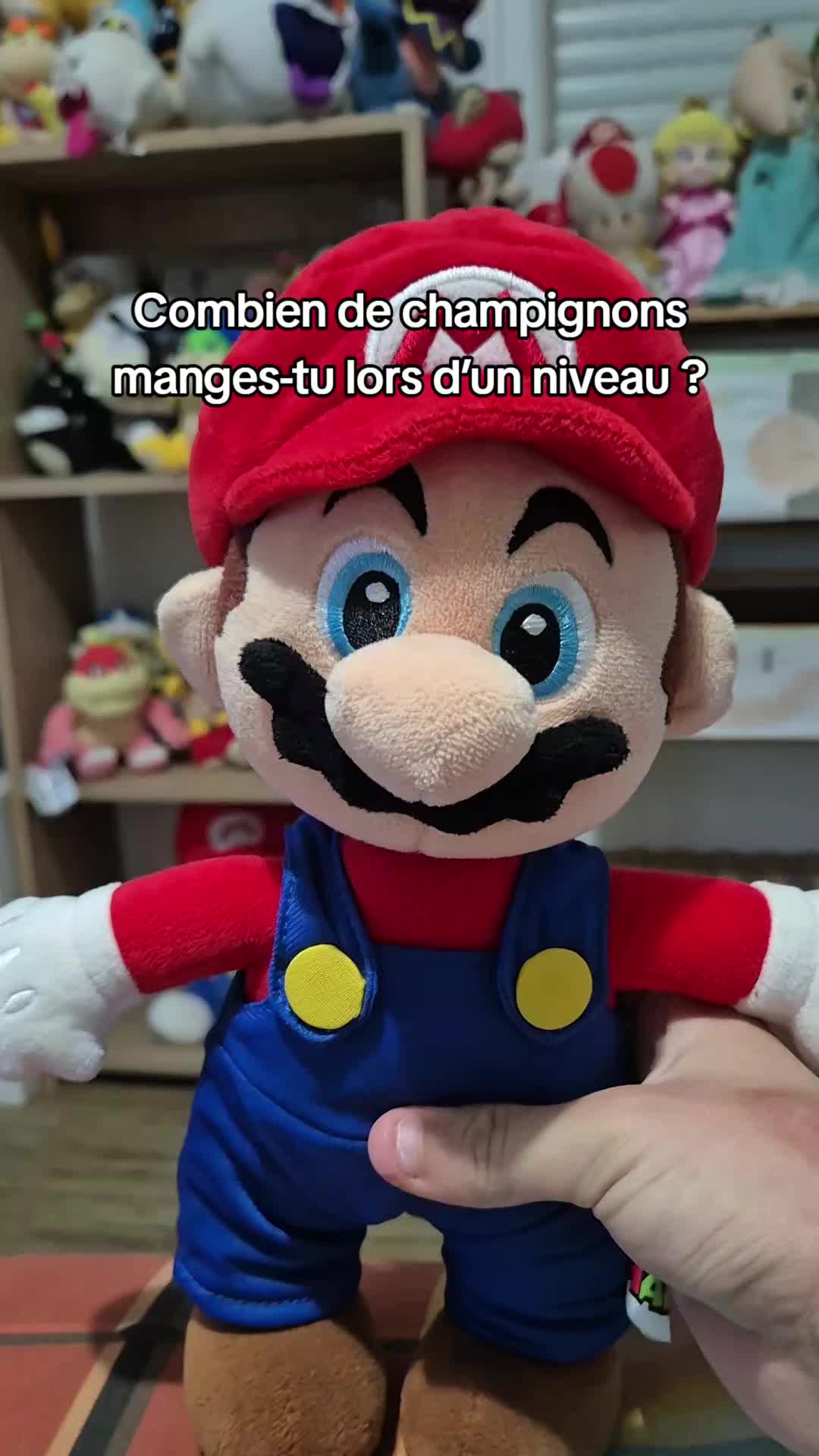 @peluchemario64