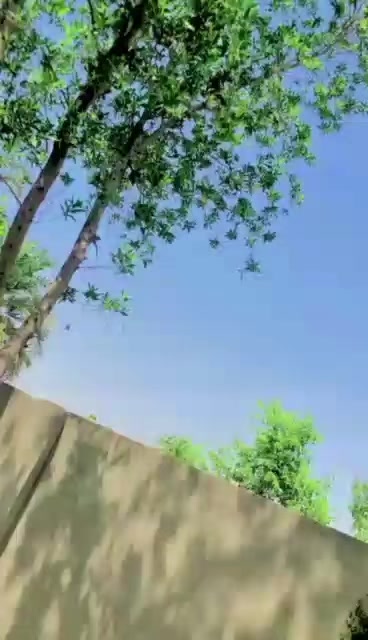 @ہادی خان