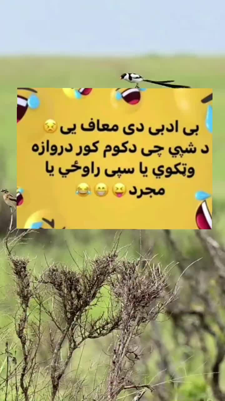 @funnysmile2026