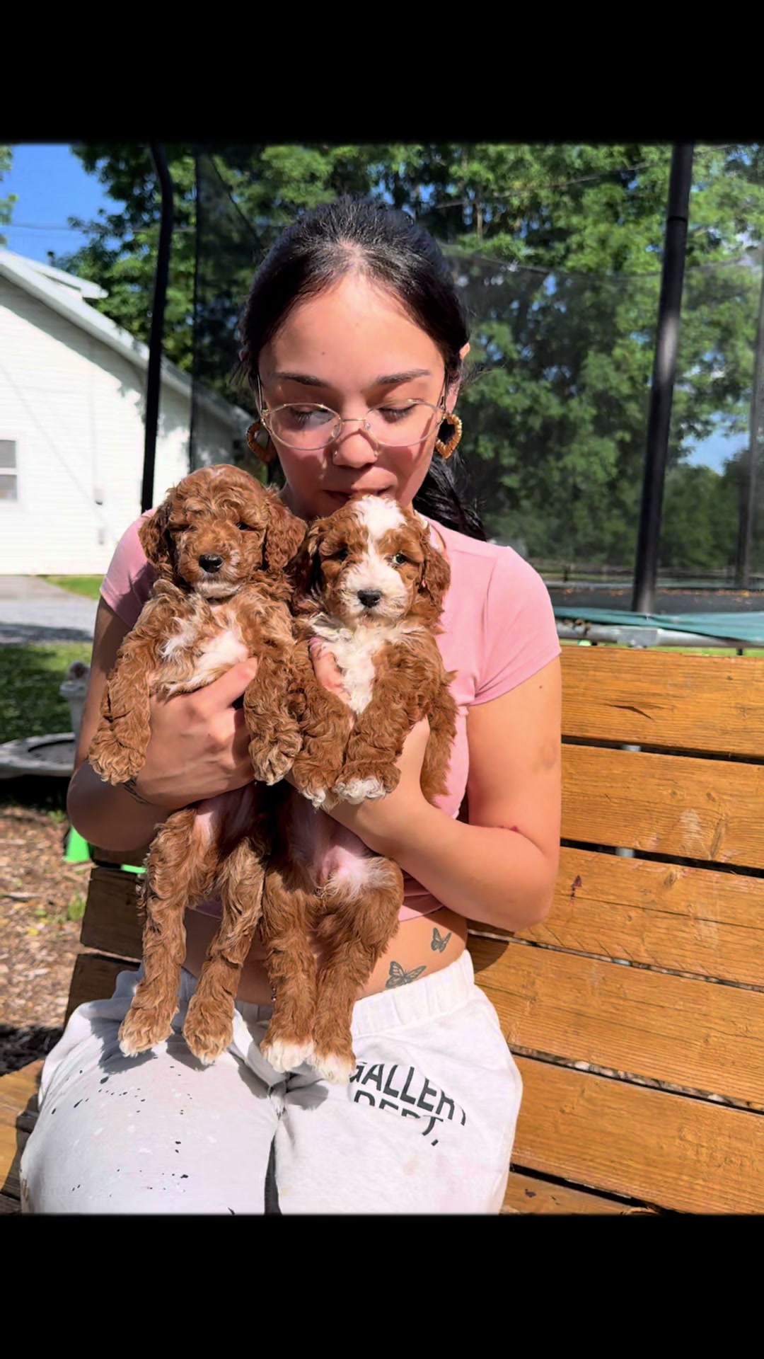 @FurbabyPuppies