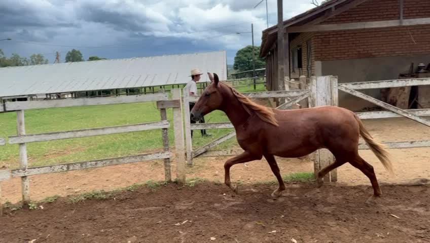 @Rancho beira mata🇧🇷🇺🇸