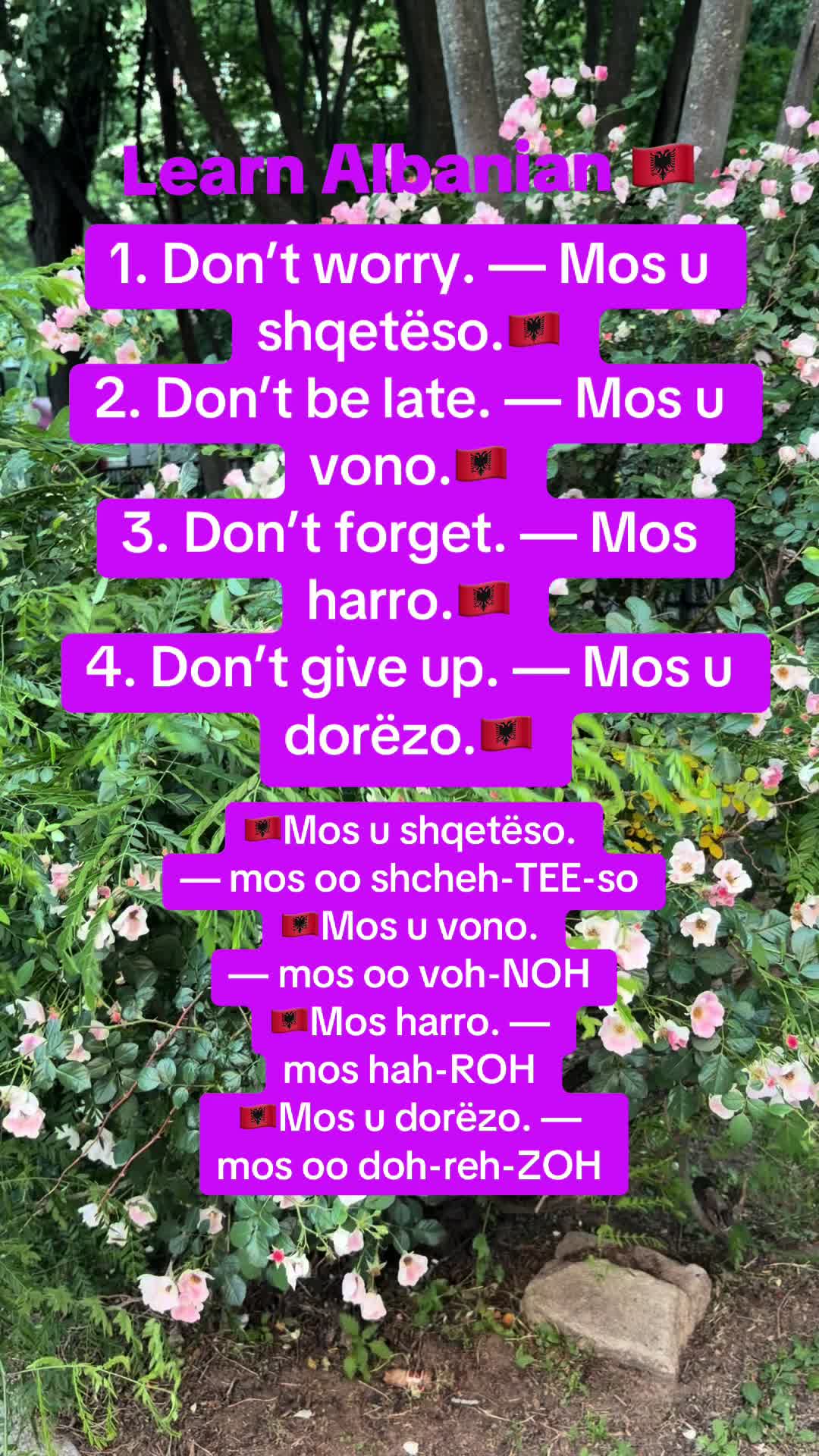@Albana