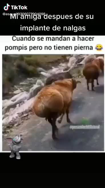 @mi BeBito fiu fiu ๐ธ๐ป๐ฆ๐บ๐ธ
