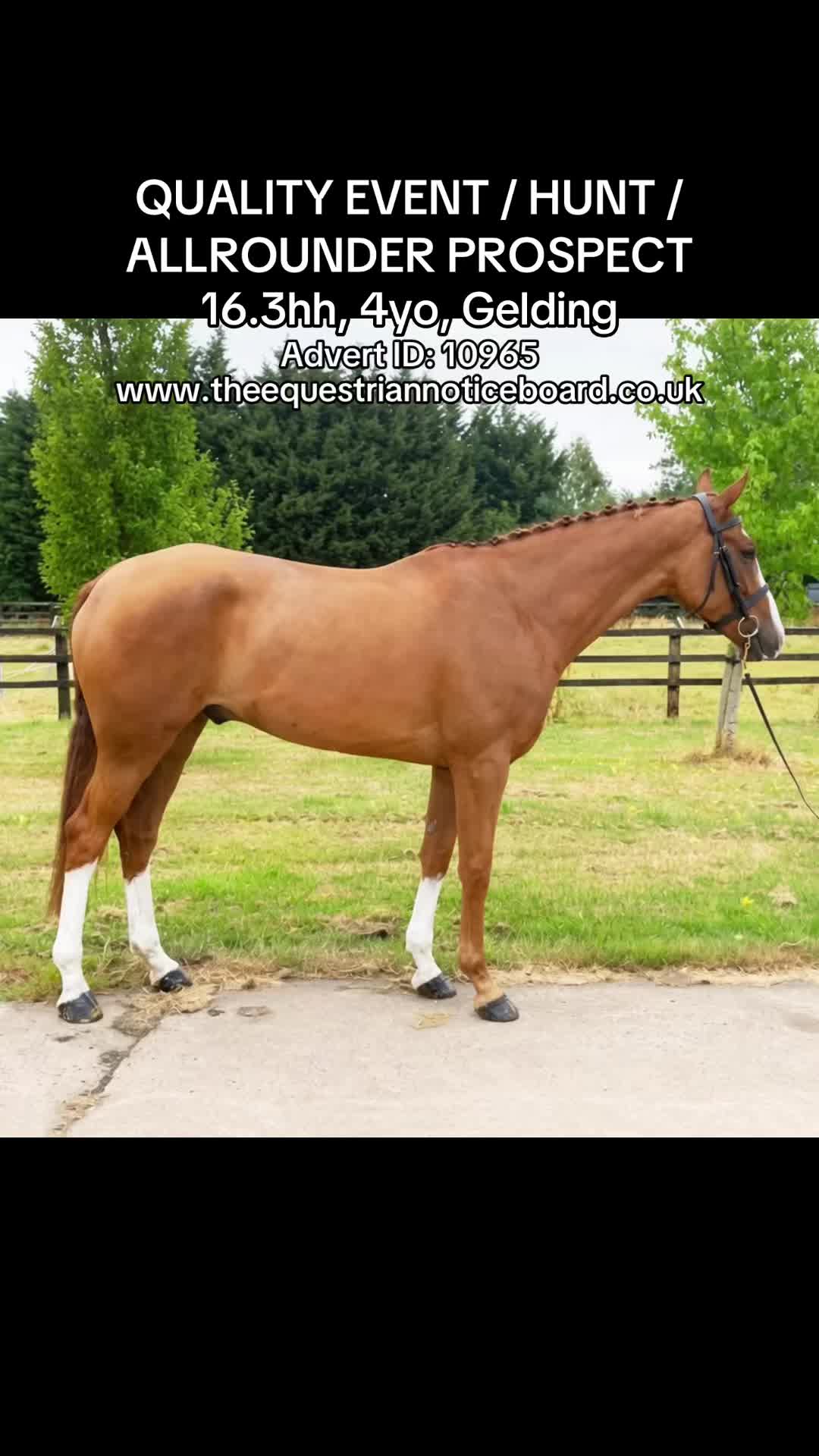 @theequestriannoticeboard