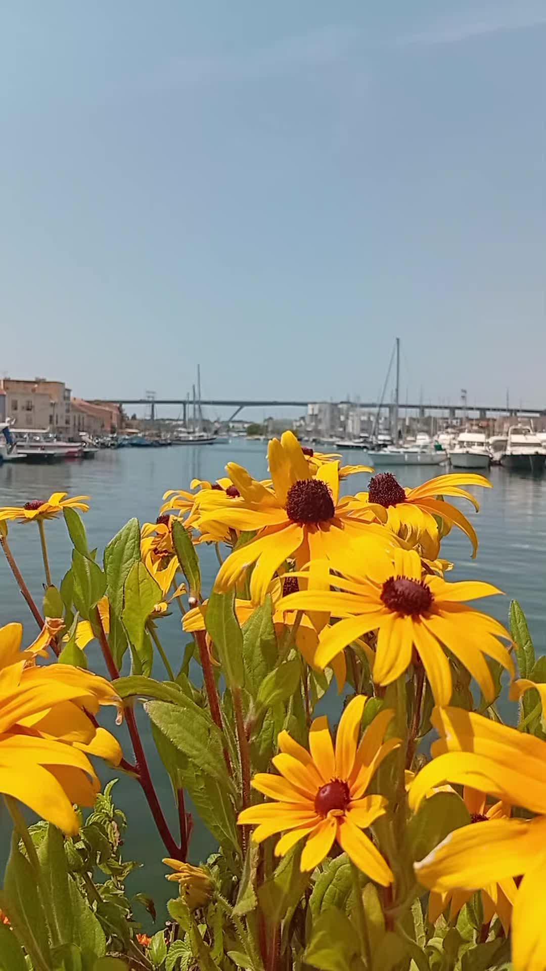 @𝘚𝘶𝘱𝘦𝘳 𝘗𝘩𝘪𝘯𝘰𝘶