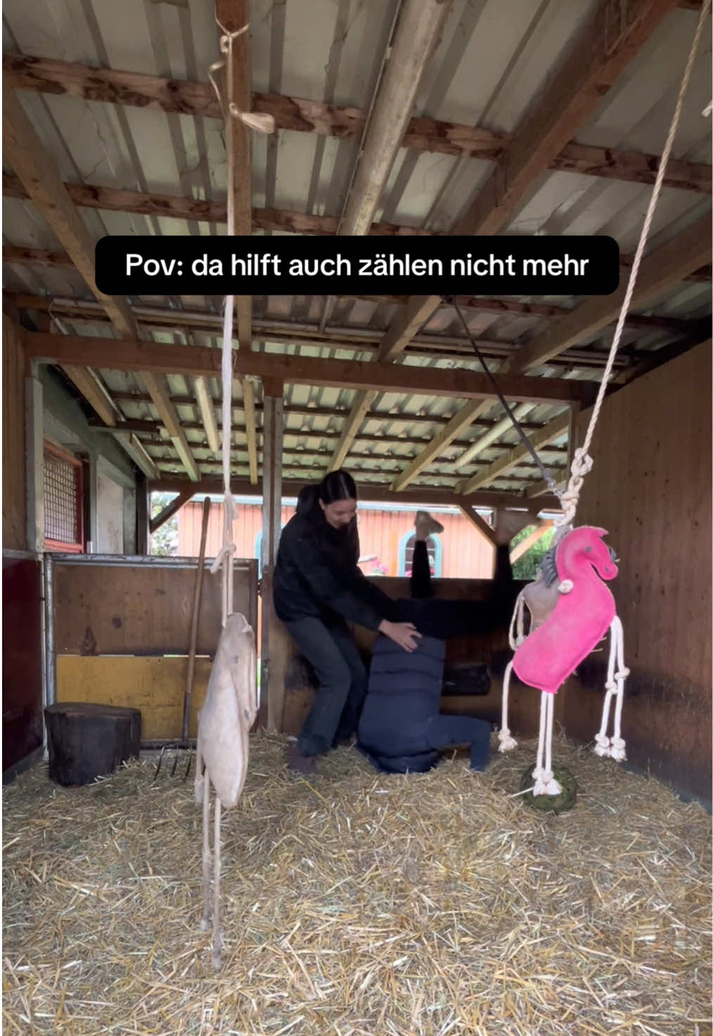 @romeo und das schaf