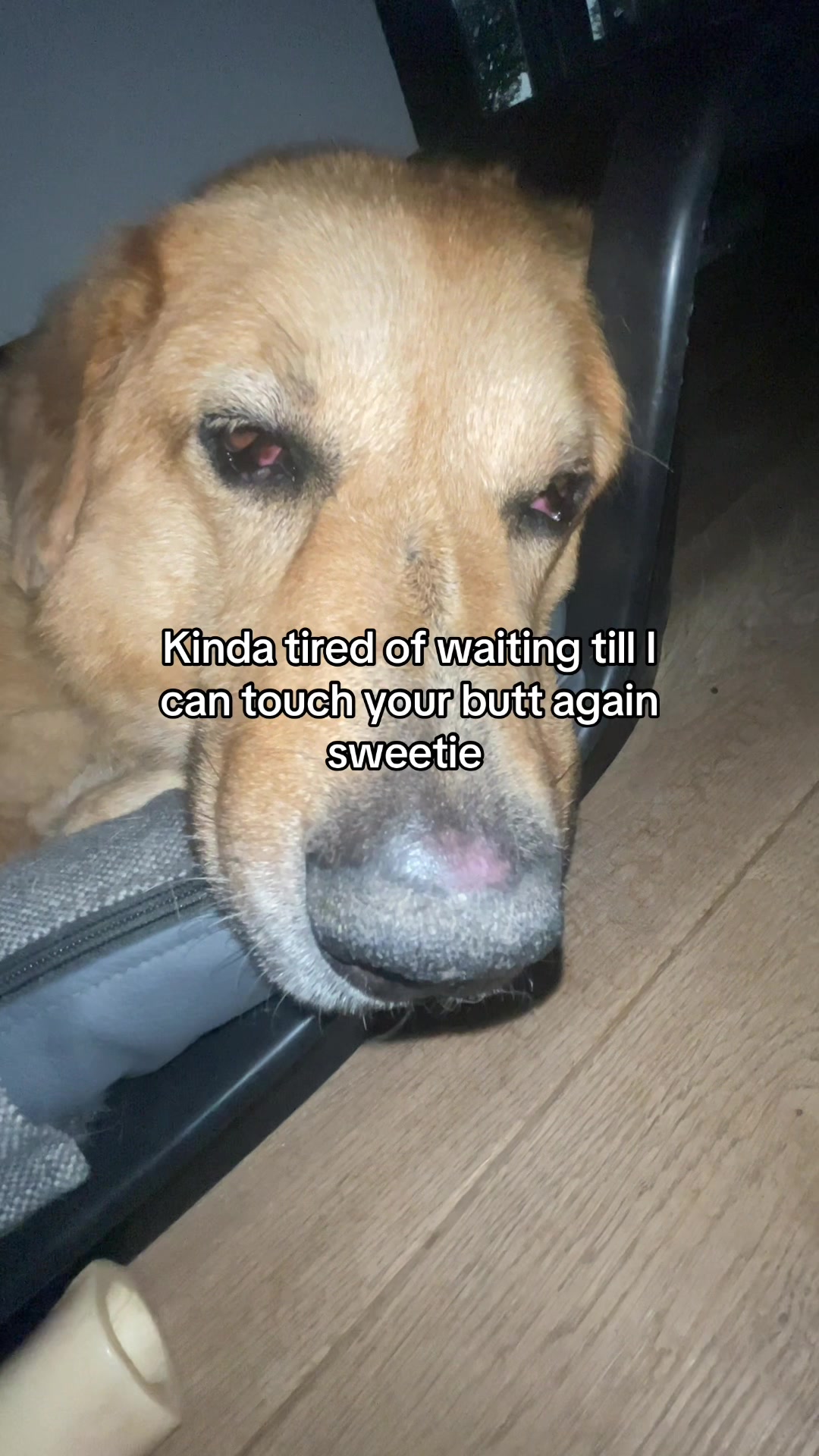 @Neo