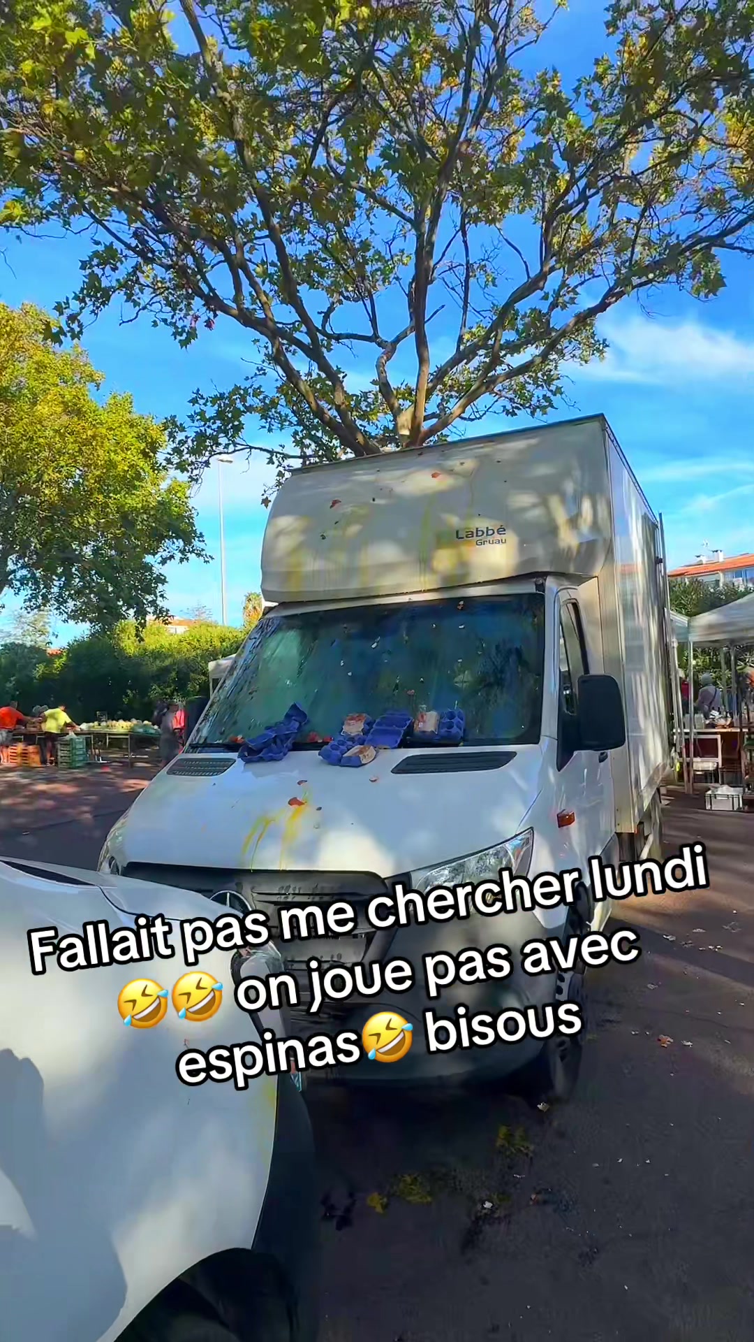 @Les aventures de JUJU