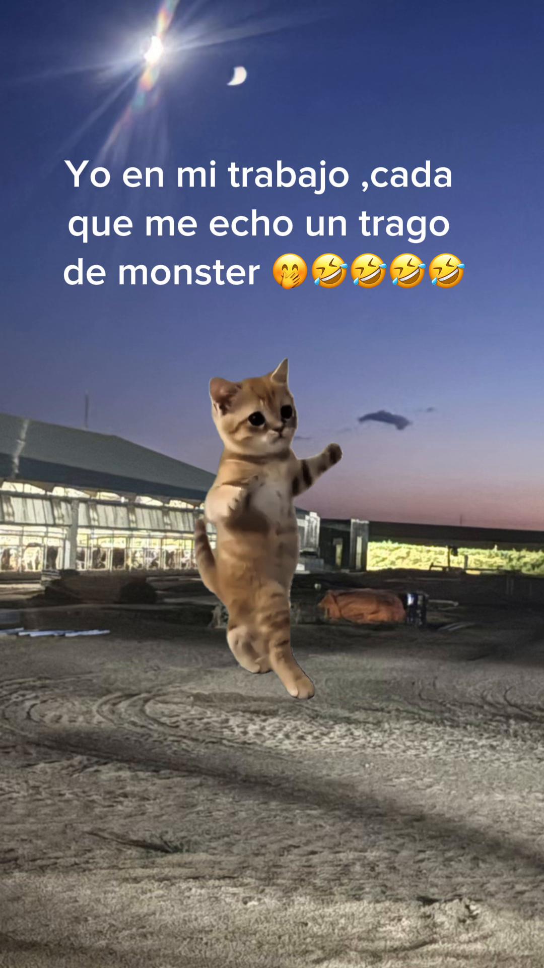 @Alicia vilches ,P