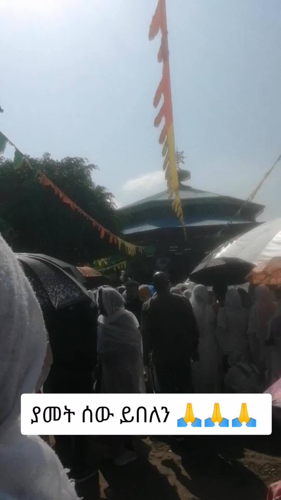 @አዲስዋ ልቤ ልብ ውልቅ ሀበሻና ሹፎን
