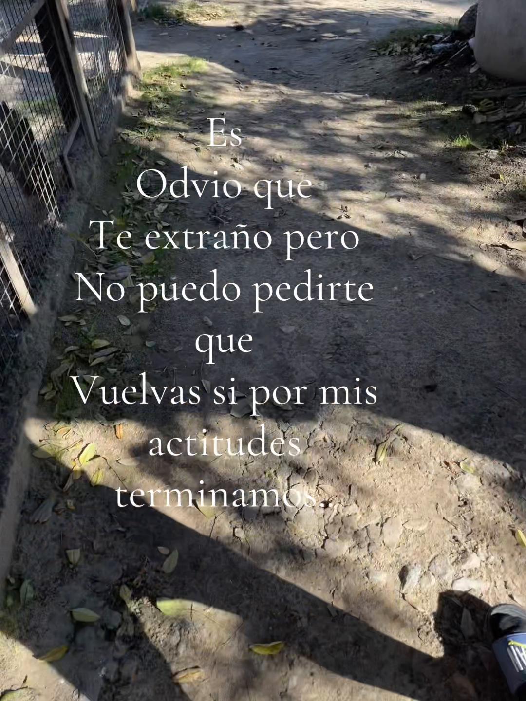 @No encontrada..