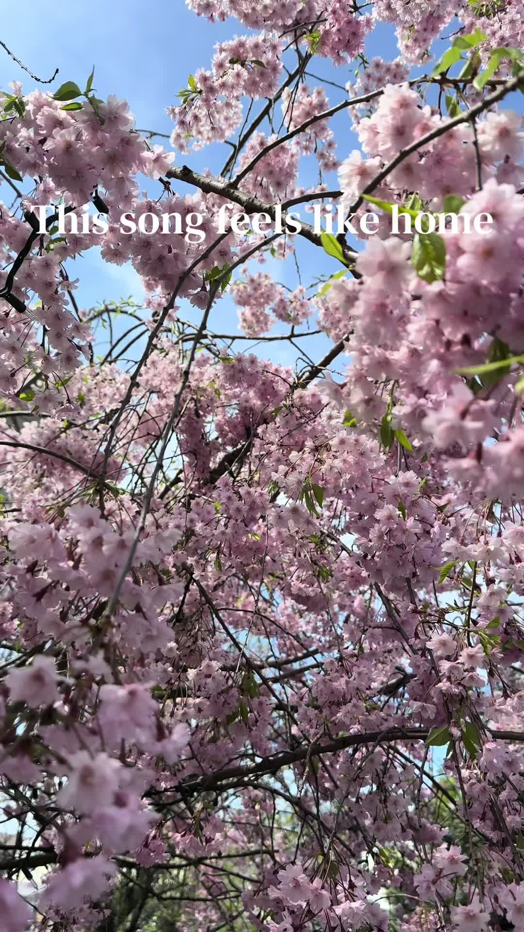 @Das_JN