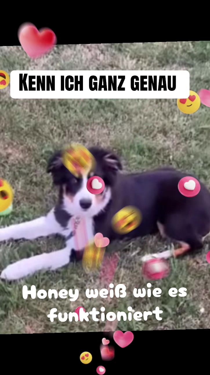@🐕Di Ana🐕