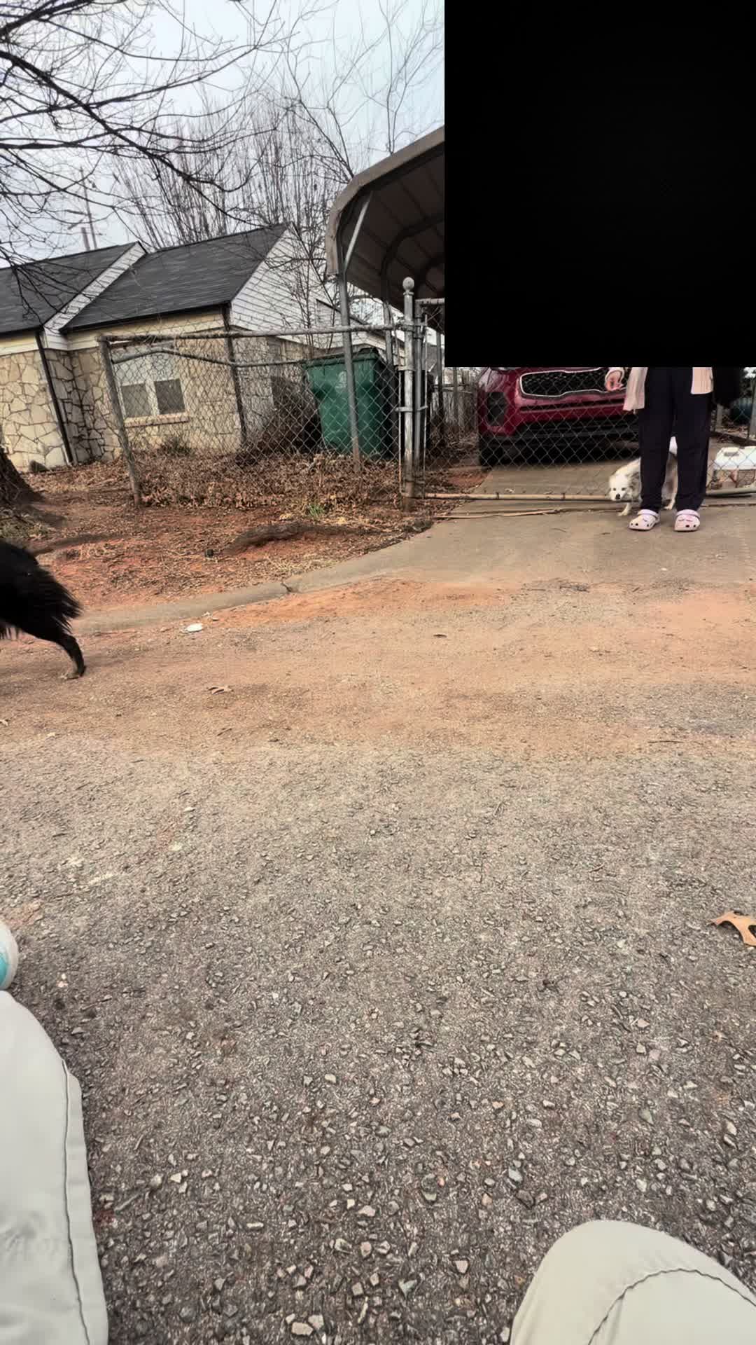 @AnimalWelfareGuy