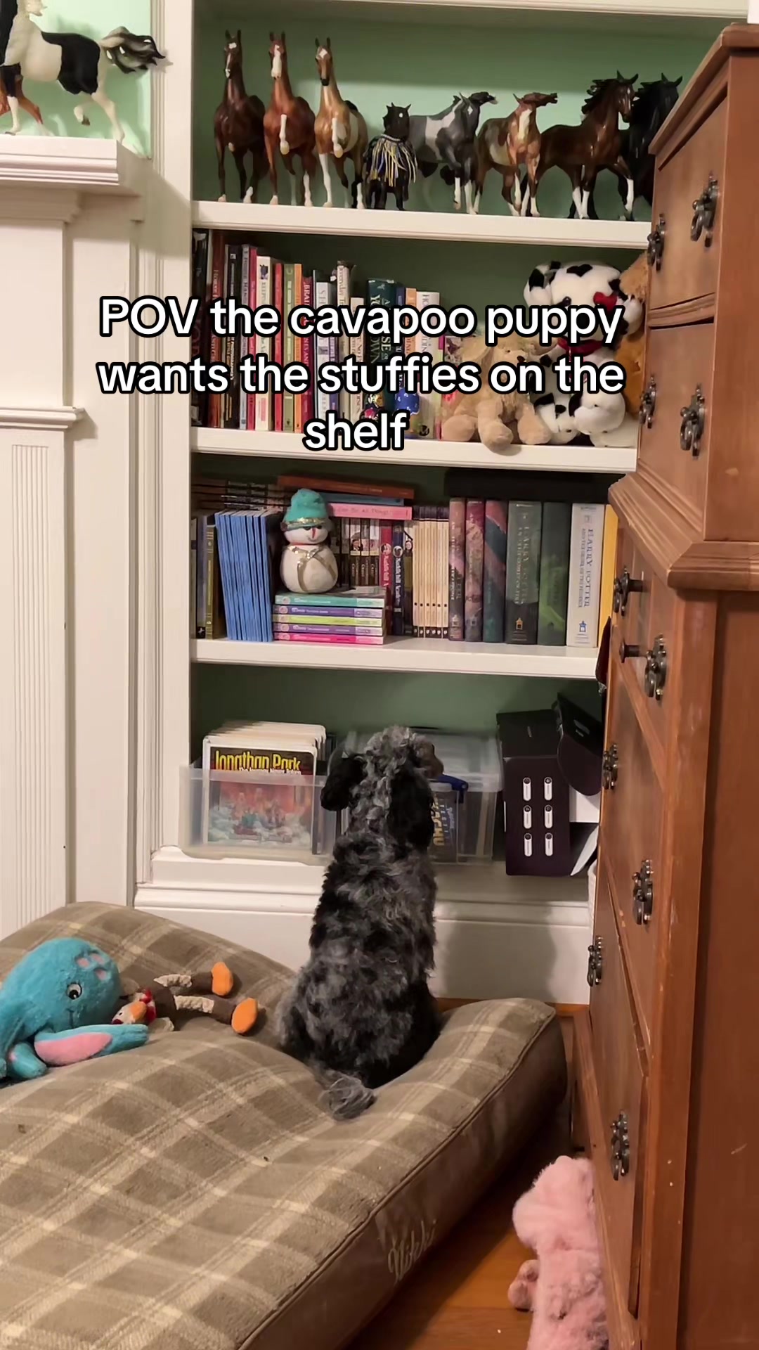 @Kayla