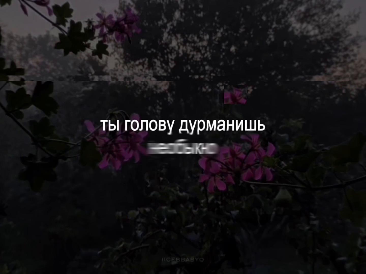 @lyrics 🎧