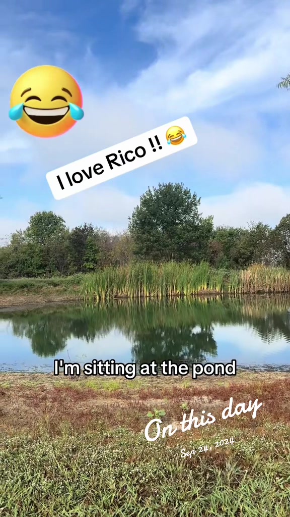 @NonniesFunnyFarm