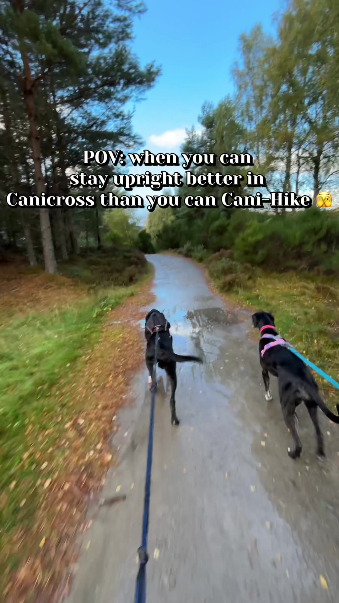 @Lindsay-CaniFit
