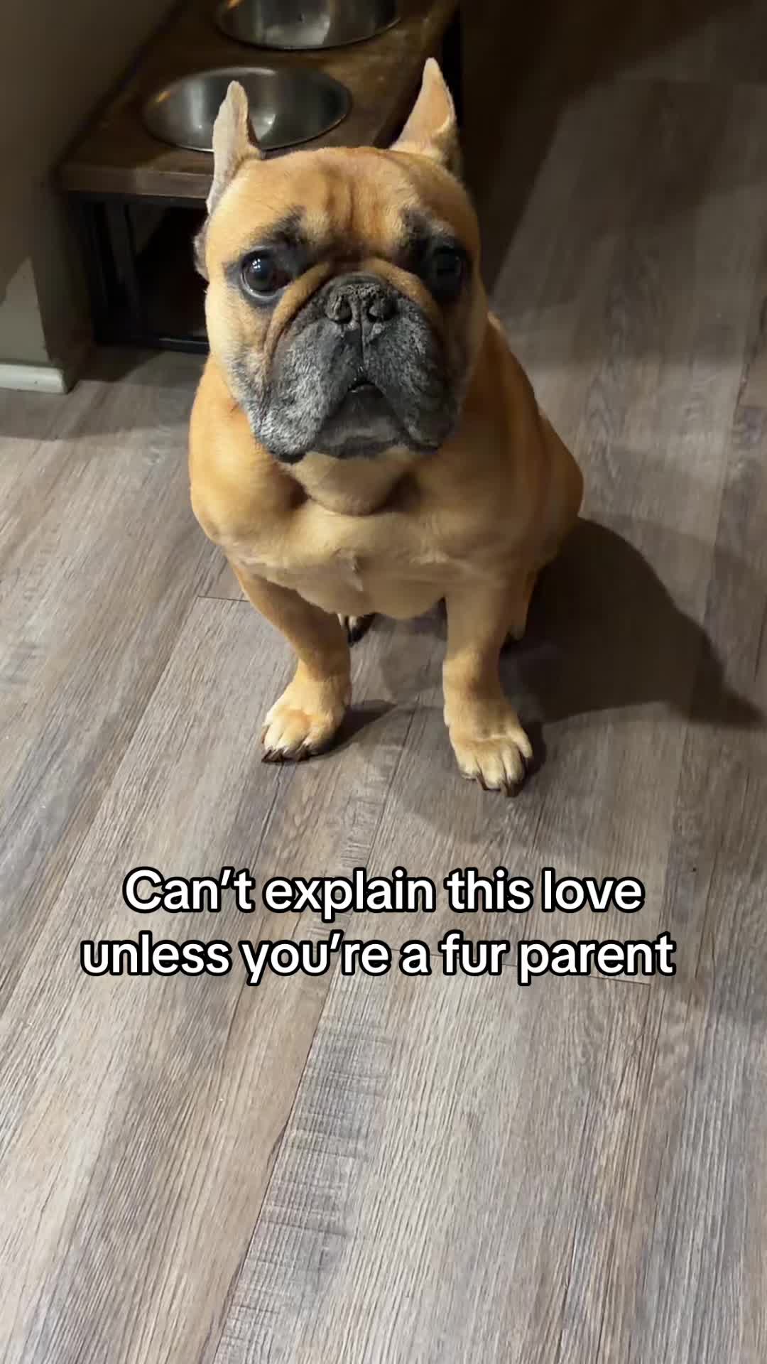 @Charley D