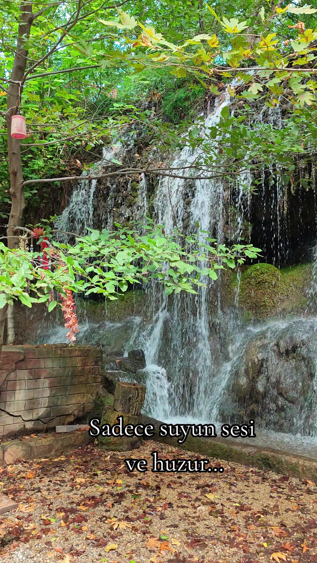 @Kübra