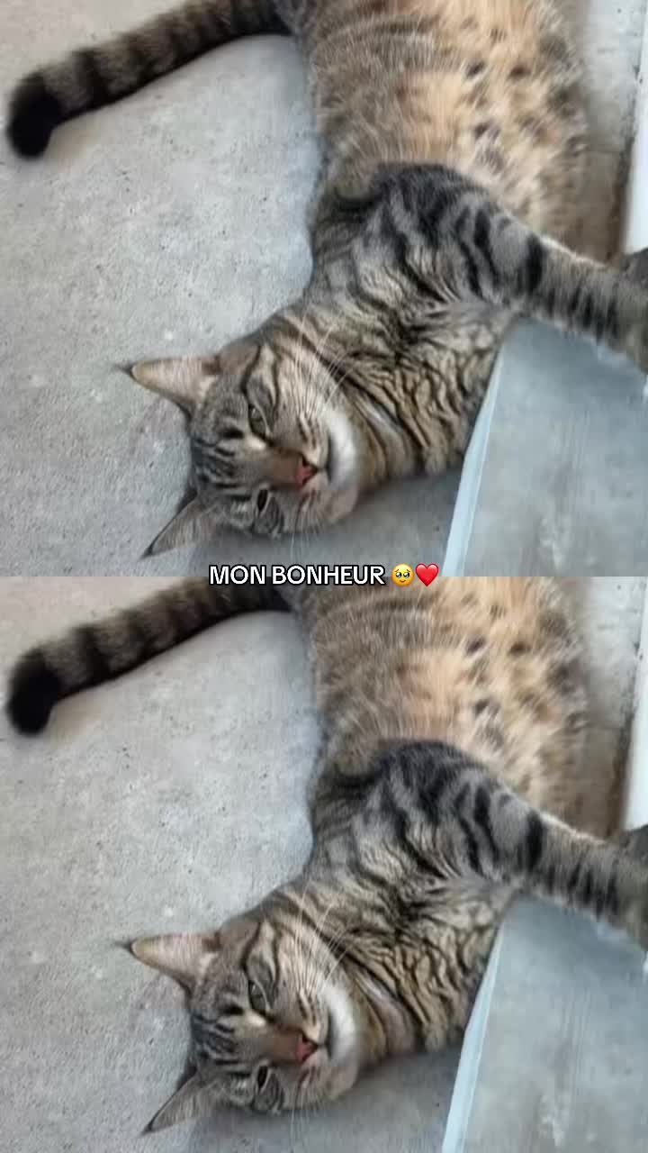 @octiktok🎧