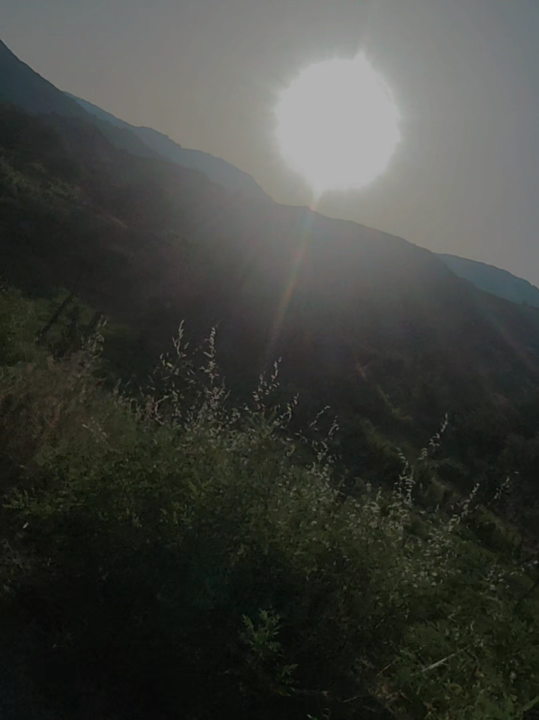 @🌙shine.acds✨️