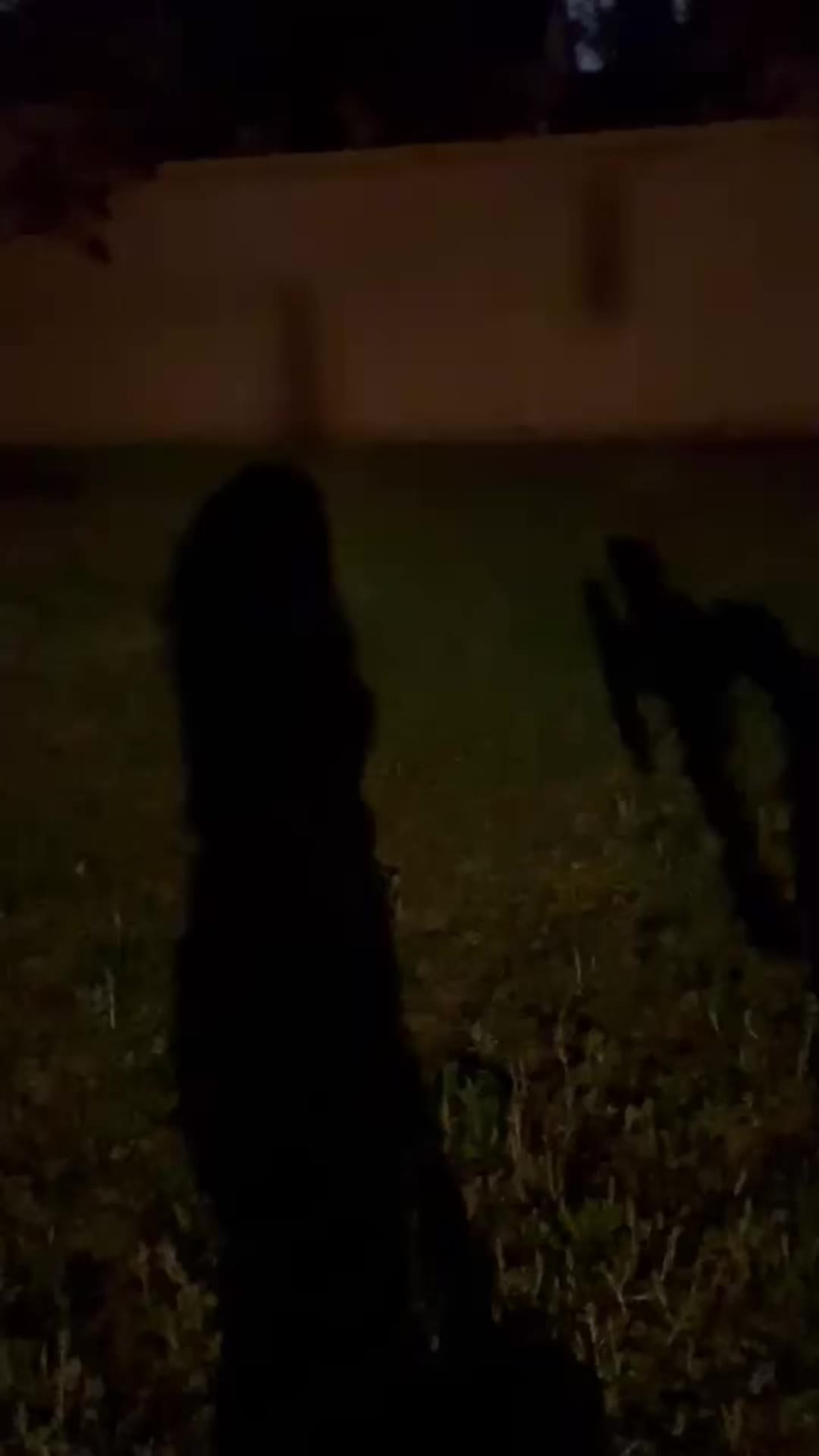 @Cindy